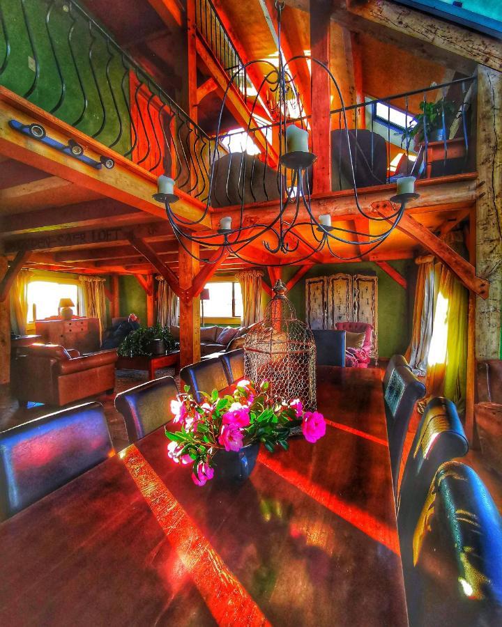 Housewithnonails Bed and Breakfast Matamata Exteriör bild