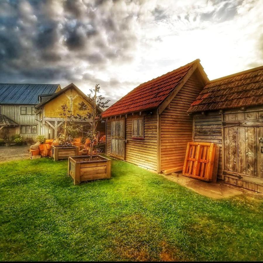 Housewithnonails Bed and Breakfast Matamata Exteriör bild
