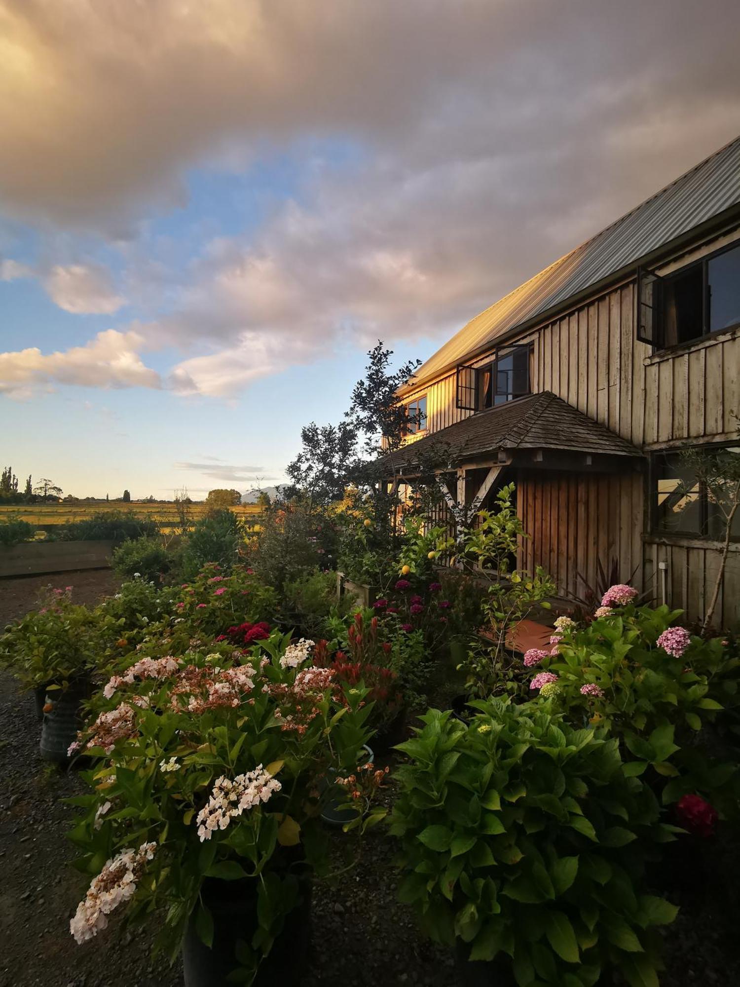 Housewithnonails Bed and Breakfast Matamata Exteriör bild