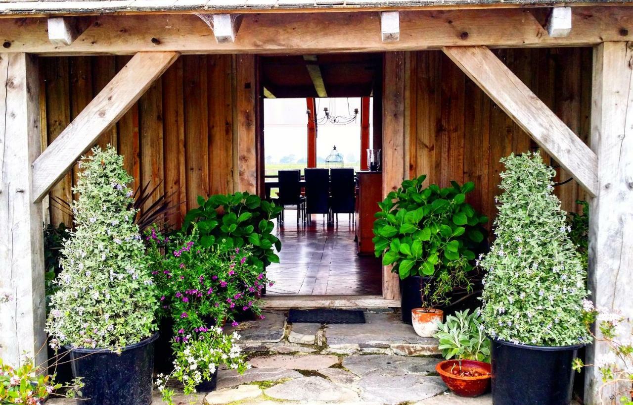 Housewithnonails Bed and Breakfast Matamata Exteriör bild